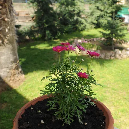 Nautilus 1st Floor Nea Iraklitsa