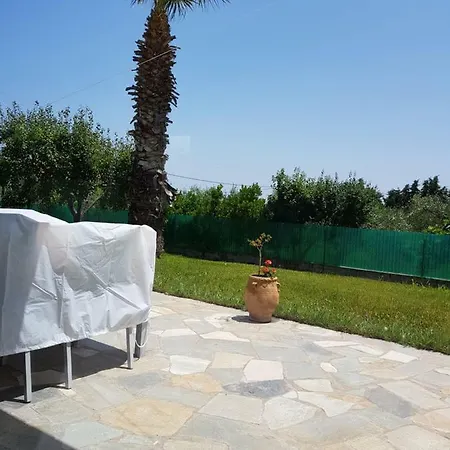 Nautilus *