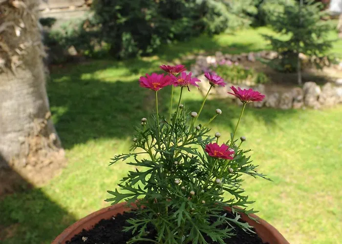 Nautilus 1st Floor Nea Iraklitsa